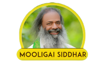 Mooligai siddhar